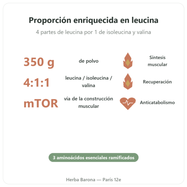 BCAA 4:1:1 en Polvo – 350 g – Nutrimuscle beneficios y datos clave Paris Herba Barona
