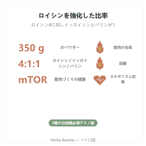 BCAA 4:1:1 パウダー 350g – Nutrimuscle benefits and key facts Paris Herba Barona