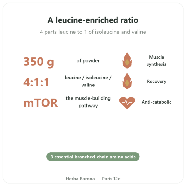 BCAA 4:1:1 Powder 350g – Nutrimuscle benefits and key facts Paris Herba Barona