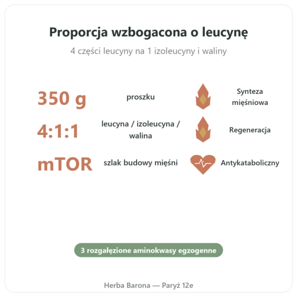 BCAA 4:1:1 w proszku 350 g – Nutrimuscle korzyści i najważniejsze fakty Paris Herba Barona