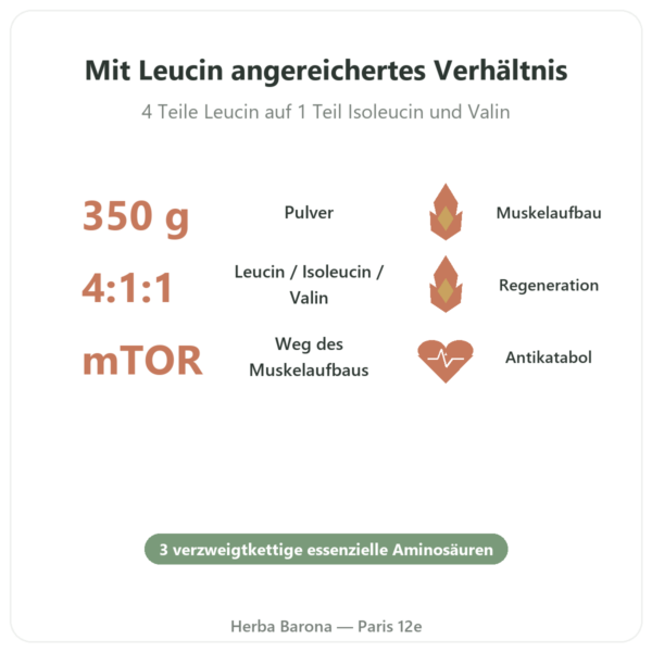 BCAA 4:1:1 Pulver – 350 g – Nutrimuscle Vorteile und Fakten Paris Herba Barona