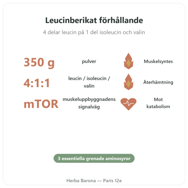 BCAA 4:1:1 Pulver 350g – Nutrimuscle fördelar och nyckelfakta Paris Herba Barona