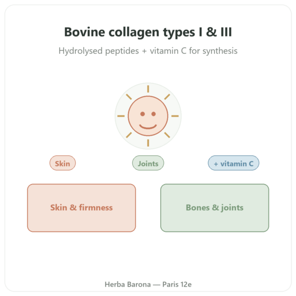 Beef Collagen Tablets Type I & III – Doctor's Best presentation Paris Herba Barona