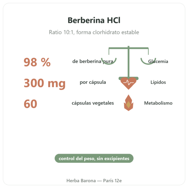 Berberina – Dynveo – 60 cápsulas beneficios y datos clave Paris Herba Barona