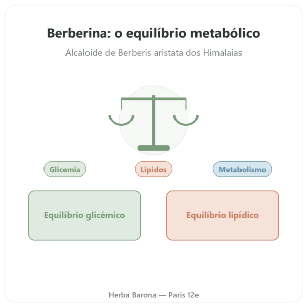 Berberina – Dynveo – 60 cápsulas apresentação Paris Herba Barona
