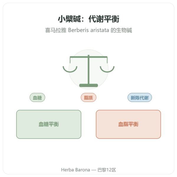 小檗碱 – Dynveo – 60粒 产品展示 Paris Herba Barona
