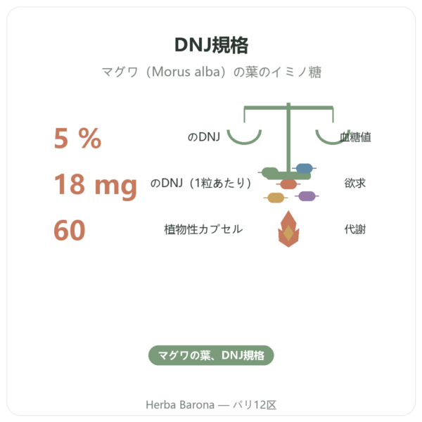 マルベリー(白桑)– DNJ 5%含有 – 60カプセル – DYNVEO benefits and key facts Paris Herba Barona
