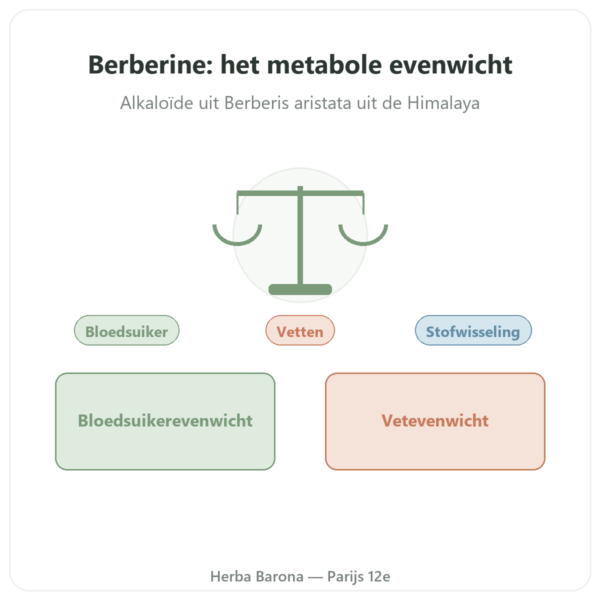 Berberine – Dynveo – 60 capsules presentatie Paris Herba Barona