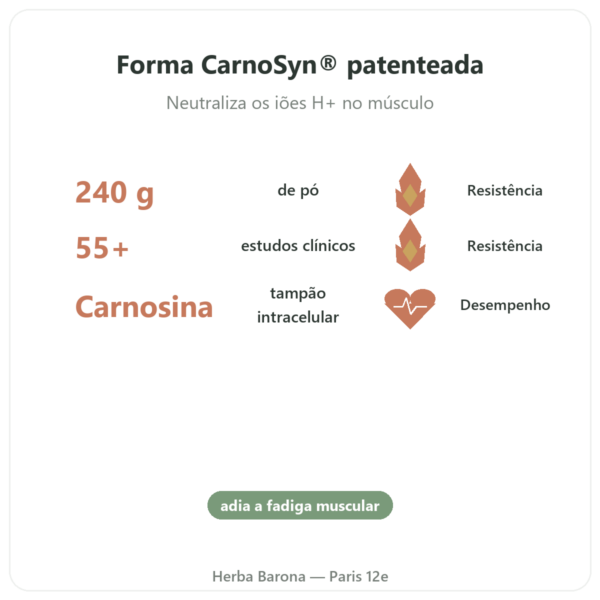 Beta-Alanina em Pó 240g – Nutrimuscle benefícios e dados principais Paris Herba Barona