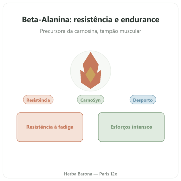 Beta-Alanina em Pó 240g – Nutrimuscle apresentação Paris Herba Barona