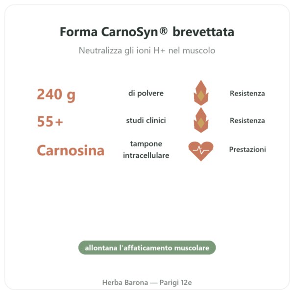 Beta-Alanina in Polvere 240g – Nutrimuscle benefici e dati chiave Paris Herba Barona