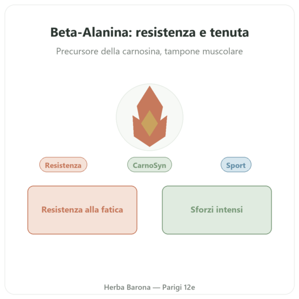 Beta-Alanina in Polvere 240g – Nutrimuscle presentazione Paris Herba Barona