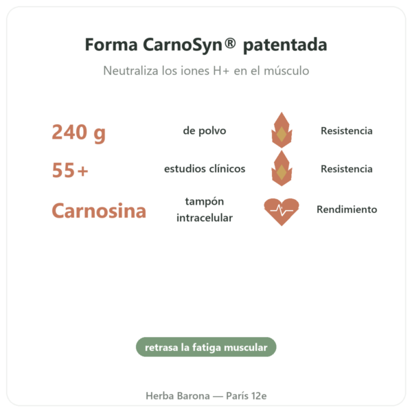 Beta-Alanina en Polvo – 240 g – Nutrimuscle beneficios y datos clave Paris Herba Barona