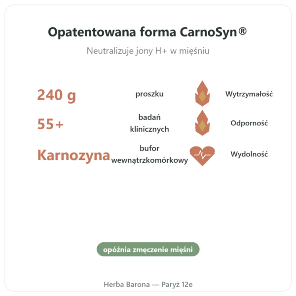 Beta-Alanina Proszek 240g – Nutrimuscle korzyści i najważniejsze fakty Paris Herba Barona