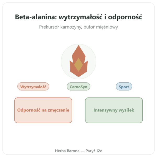 Beta-Alanina Proszek 240g – Nutrimuscle prezentacja Paris Herba Barona