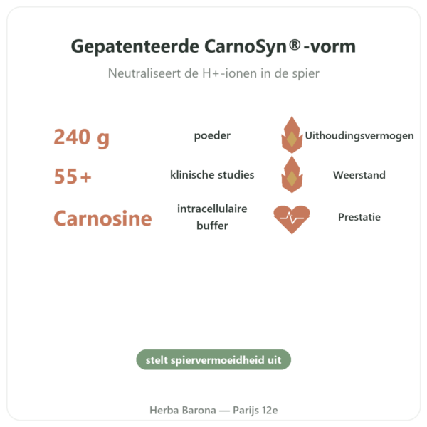 Bèta-Alanine Poeder 240g - Nutrimuscle voordelen en kerngegevens Paris Herba Barona