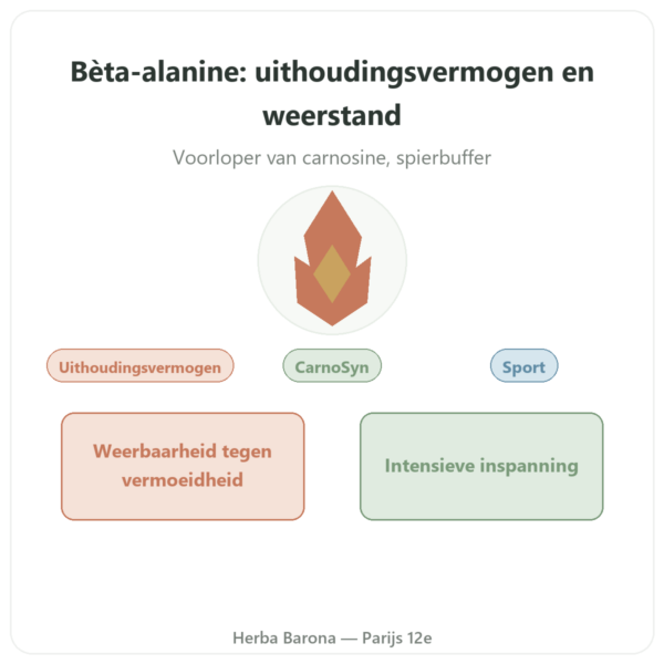 Bèta-Alanine Poeder 240g - Nutrimuscle presentatie Paris Herba Barona