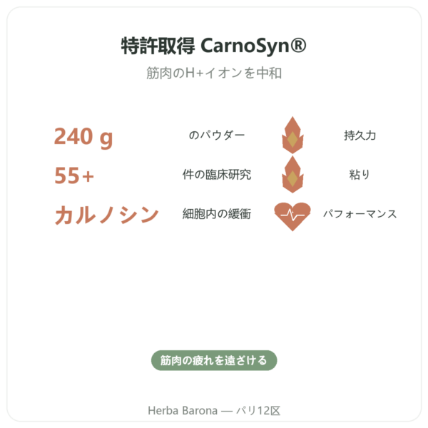 ベータアラニン パウダー 240g – Nutrimuscle benefits and key facts Paris Herba Barona