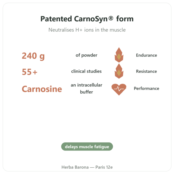 Beta-Alanine Powder 240g – Nutrimuscle benefits and key facts Paris Herba Barona