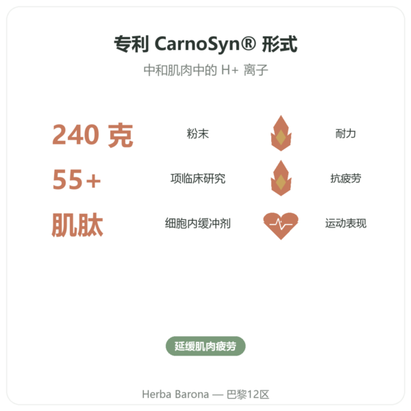 Nutrimuscle β-丙氨酸粉末 240克 功效与数据 Paris Herba Barona