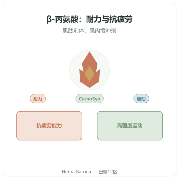 Nutrimuscle β-丙氨酸粉末 240克 产品展示 Paris Herba Barona