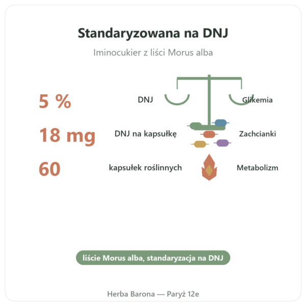 Biała morwa 5% DNJ Dynveo 60 kapsułek w Paryżu korzyści i najważniejsze fakty Paris Herba Barona