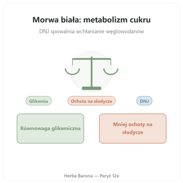 Biała morwa 5% DNJ Dynveo 60 kapsułek w Paryżu prezentacja Paris Herba Barona