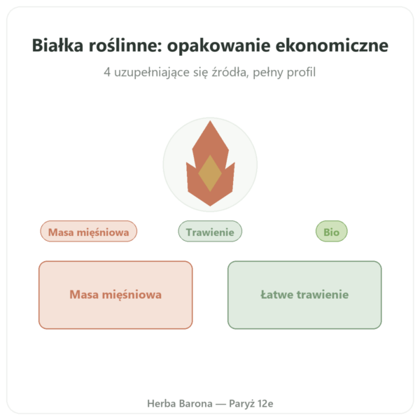 Białko roślinne bio – Dynveo – 1 kg prezentacja Paris Herba Barona