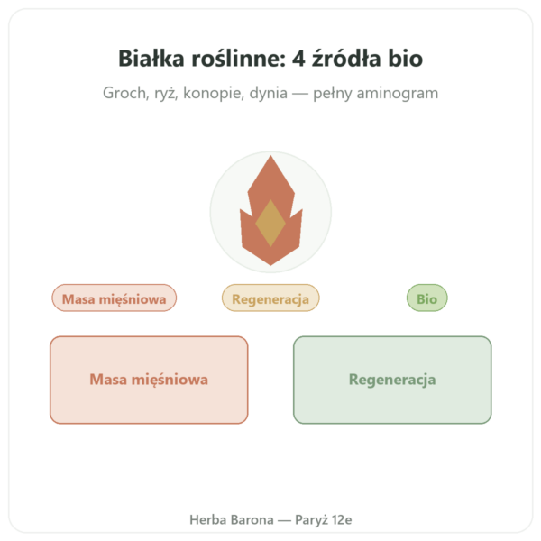Białko roślinne bio – Dynveo – 500 g prezentacja Paris Herba Barona