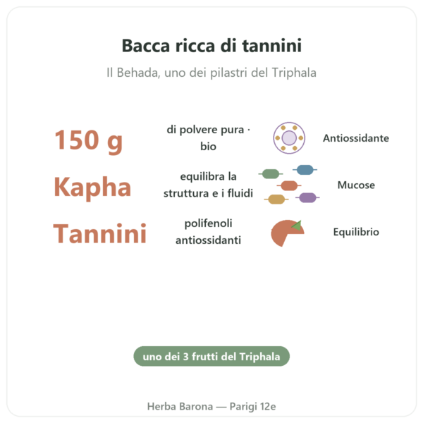 Bibhitaki Bio in Polvere – Ayur-vana – 150 g benefici e dati chiave Paris Herba Barona