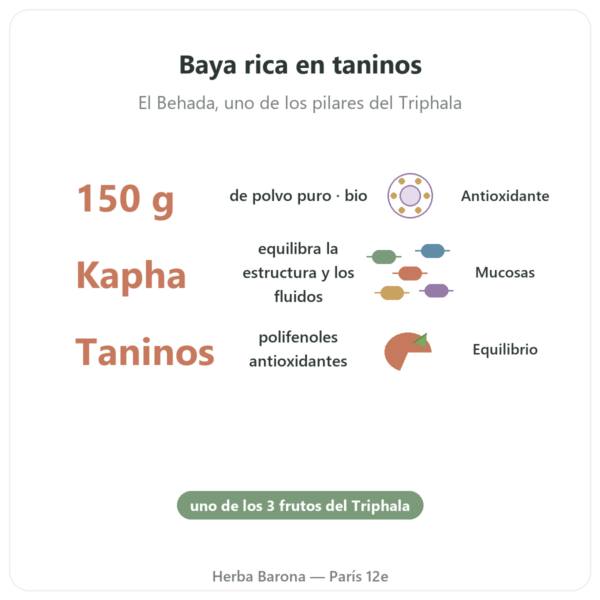 Bibhitaki Bio – Sachet de Polvo – 150 g – Ayur-vana beneficios y datos clave Paris Herba Barona