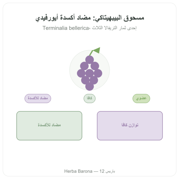 بيبيهيتاكي بيو – مسحوق – 150 غ – Ayur-vana عرض المنتج Paris Herba Barona