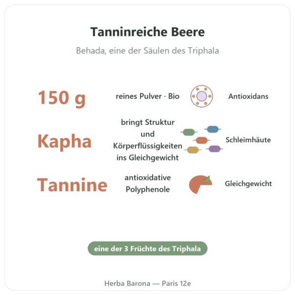 Bibhitaki Bio Pulver – 150 g – Ayur-vana Vorteile und Fakten Paris Herba Barona