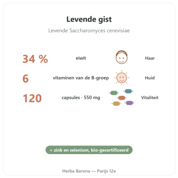 Bierngist BIO Dynveo 120 Caps. 550 mg voordelen en kerngegevens Paris Herba Barona