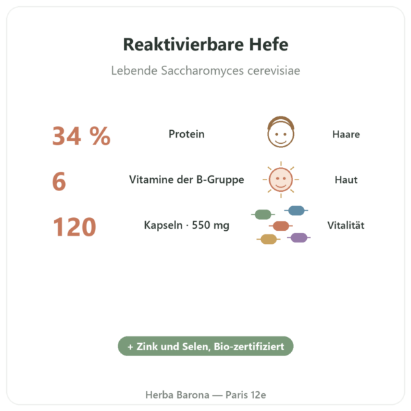 Bio-Bierhefe – Dynveo – 550 mg – 120 Kapseln Vorteile und Fakten Paris Herba Barona