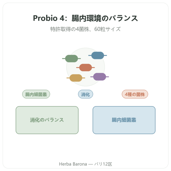 Probio 4 – Dynveo – 60カプセル presentation Paris Herba Barona
