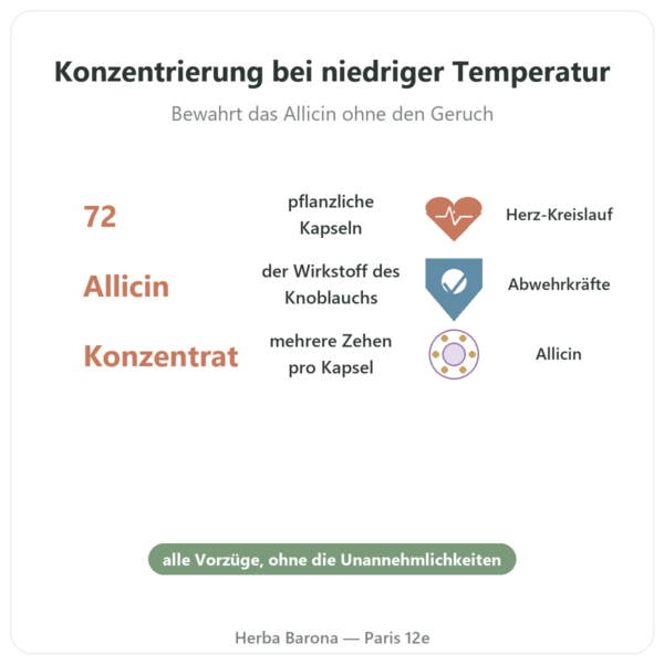 Bio-Knoblauch konzentriert – Revit'Ail – 72 Kapseln – Vecteur Santé Vorteile und Fakten Paris Herba Barona