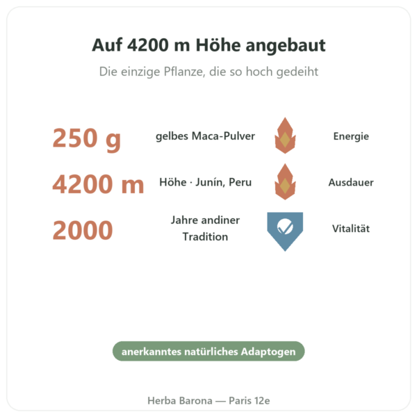 Bio-Maca-Pulver Pederoso – Saldac – 250 g Vorteile und Fakten Paris Herba Barona