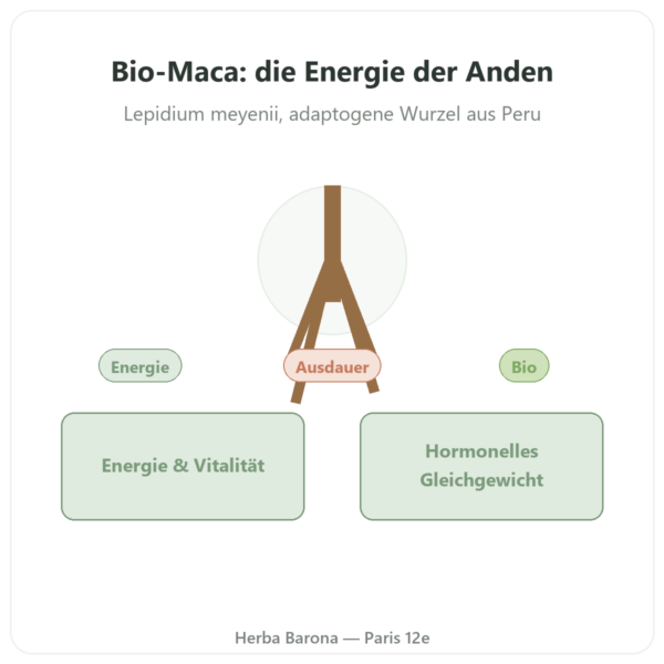 Bio-Maca-Pulver Pederoso – Saldac – 250 g Vorstellung Paris Herba Barona