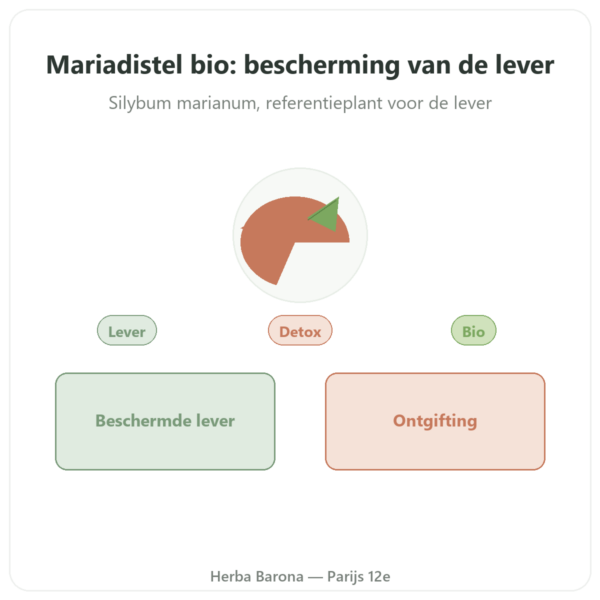 Bio Mariadistel Dynveo 60 capsules 200mg presentatie Paris Herba Barona