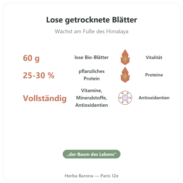 Bio-Moringa-Blätter – 60 g Vorteile und Fakten Paris Herba Barona