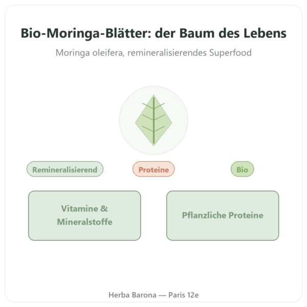 Bio-Moringa-Blätter – 60 g Vorstellung Paris Herba Barona