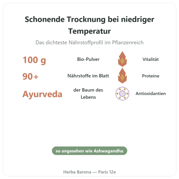 Bio-Moringa-Pulver 100 g – Bioptimal – Superfood Vorteile und Fakten Paris Herba Barona