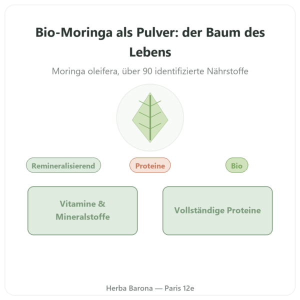 Bio-Moringa-Pulver 100 g – Bioptimal – Superfood Vorstellung Paris Herba Barona