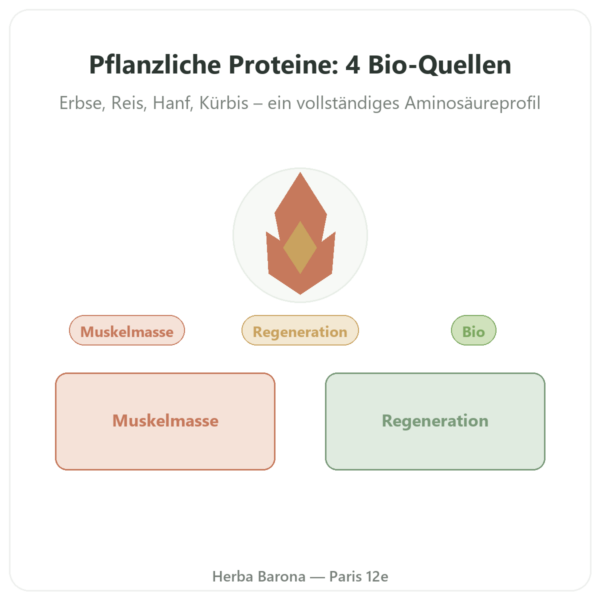 Bio-Pflanzenprotein Pulver 500 g – Dynveo Vorstellung Paris Herba Barona