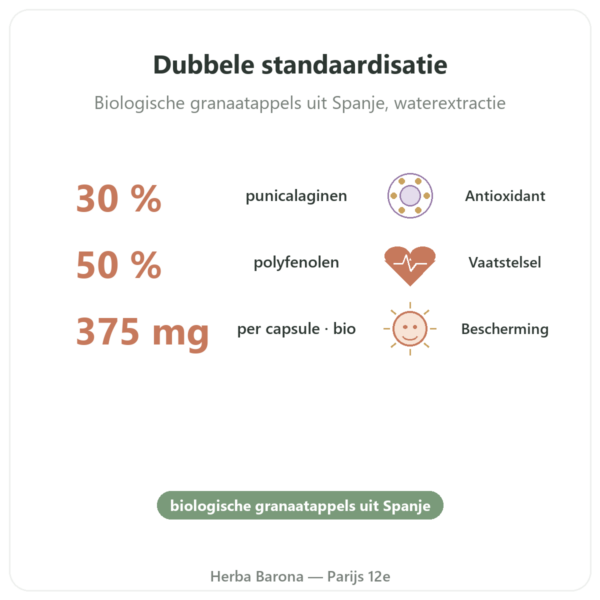 Biologische Granaatappel Dynveo – 375 mg – 60 capsules – 30% Punicalaginen – 50% Polyfenolen voordelen en kerngegevens Paris Herba Barona