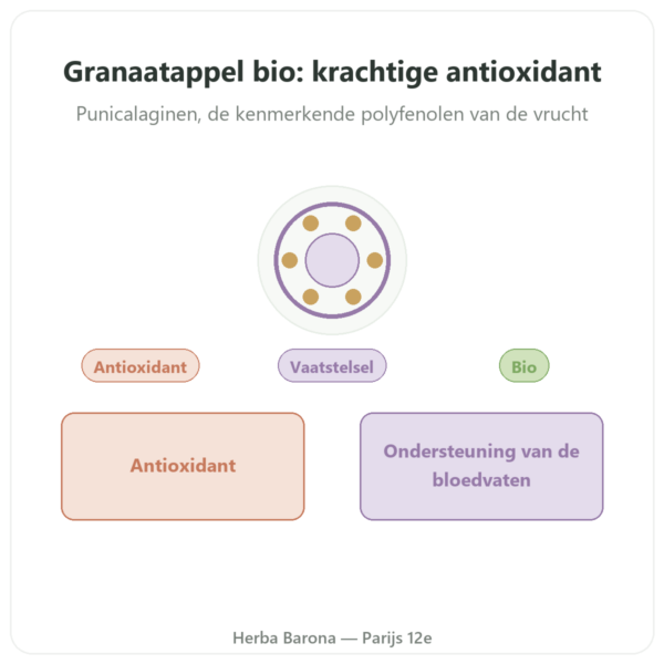 Biologische Granaatappel Dynveo – 375 mg – 60 capsules – 30% Punicalaginen – 50% Polyfenolen presentatie Paris Herba Barona