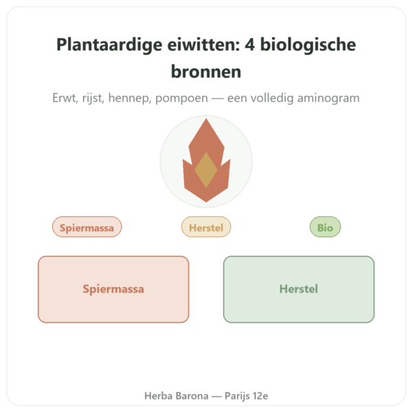 Biologische plantaardige eiwitten – Dynveo – 500 g presentatie Paris Herba Barona