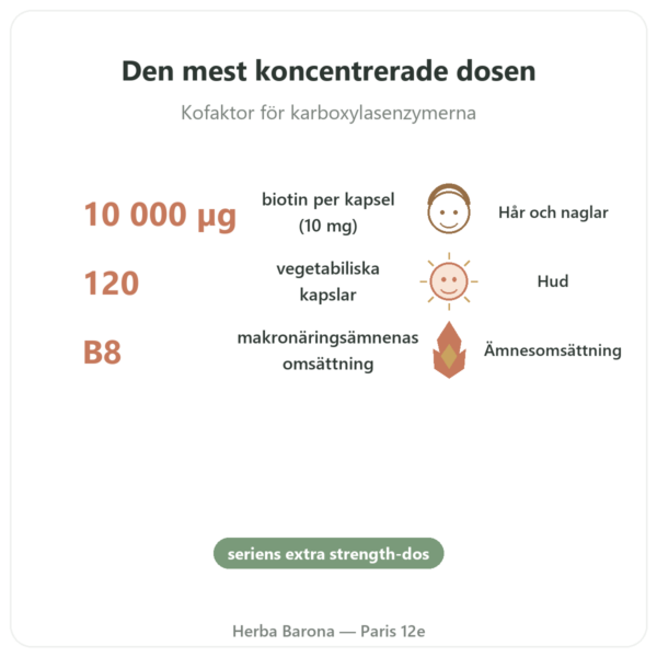 Biotin – 10 000 mcg (10 mg) – Now Foods – 120 kapslar fördelar och nyckelfakta Paris Herba Barona