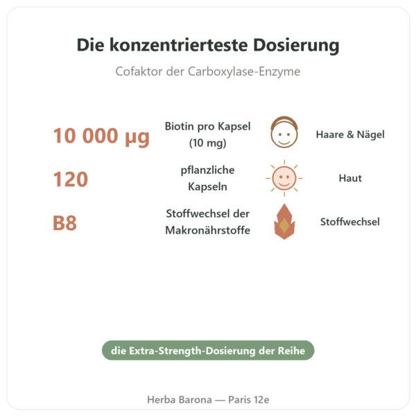 Biotin 10.000 mcg (10 mg) – Now Foods – 120 Kapseln Vorteile und Fakten Paris Herba Barona
